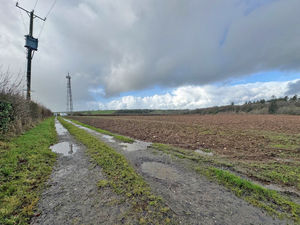 Track- click for photo gallery